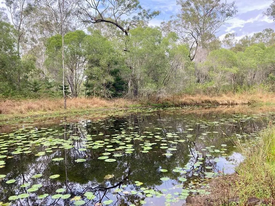 Casa Verde Off-Grid Hideaway Agnes Water 1770 Holiday home